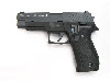 WE P226 Gas Pistol (Marking)